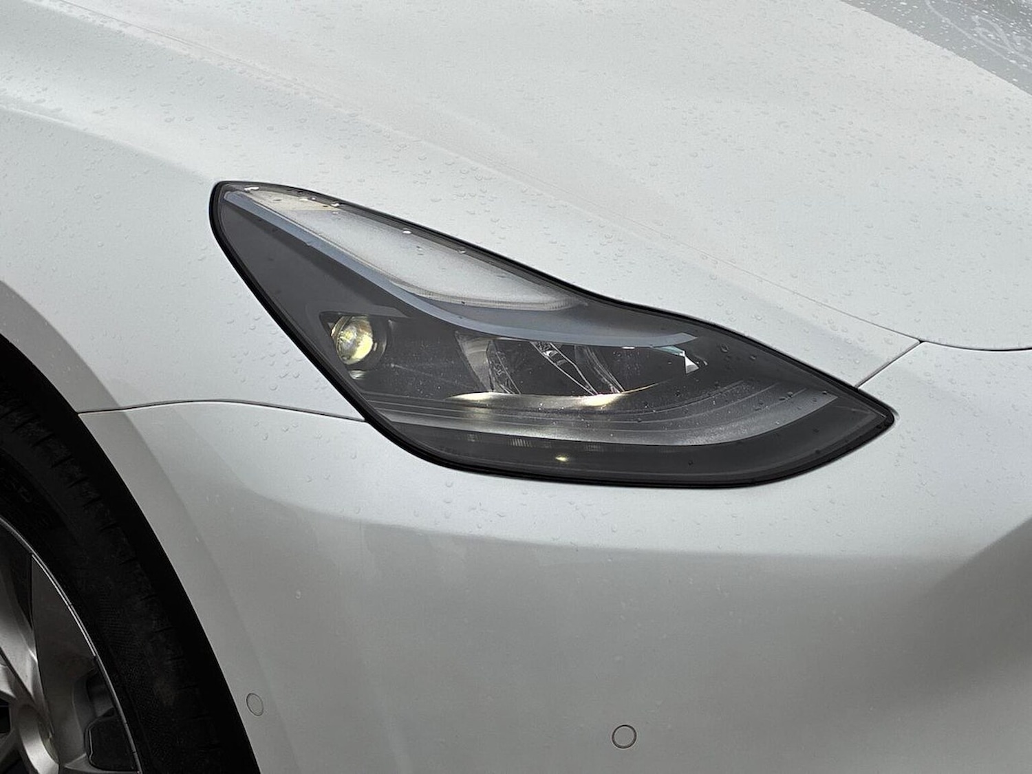 Used Tesla Model Y 2022 for sale - 77796960: Photo 34