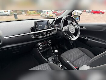 Used Kia Picanto 2019 for sale - 77476567: Photo