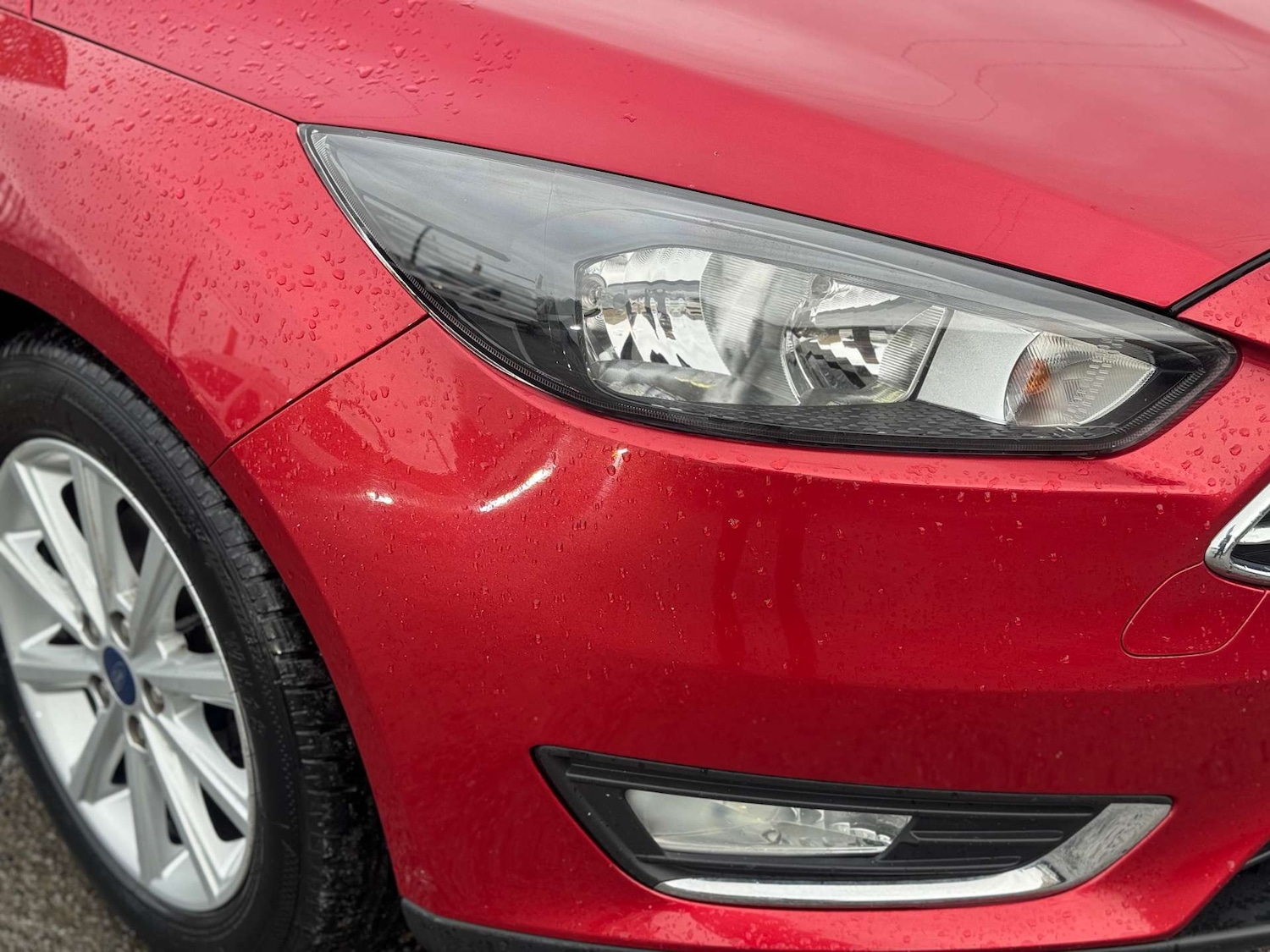 Used Ford Focus 2017 for sale - 77207501: Photo 65