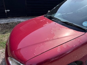 Used Peugeot 106 2002 for sale - 75555790: Photo
