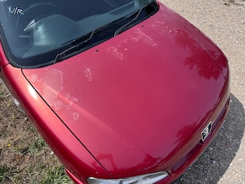 Used Peugeot 106 2002 for sale - 75555790: Photo