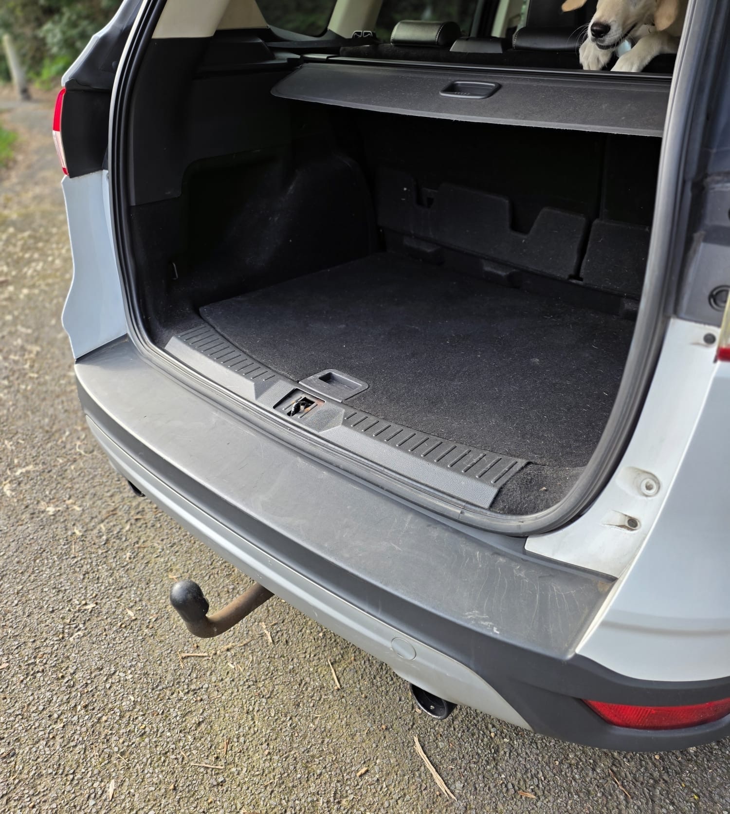 Used Ford Kuga 2014 for sale - 77731007: Photo 9