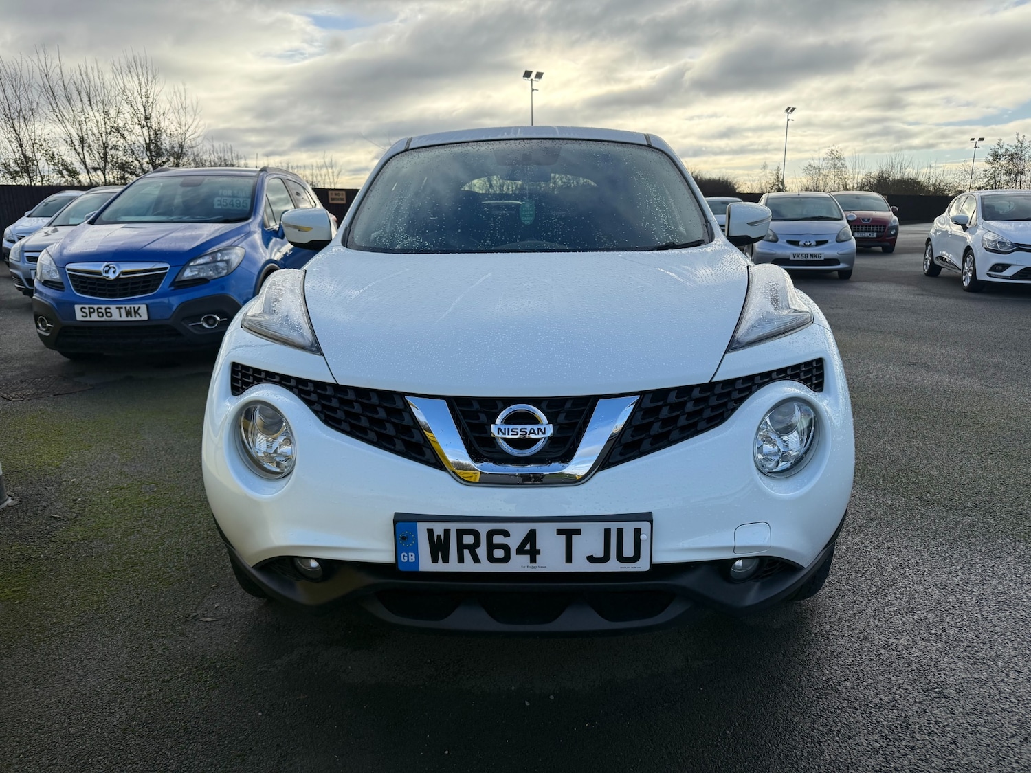 Used Nissan Juke 2014 for sale - 76693167: Photo 1