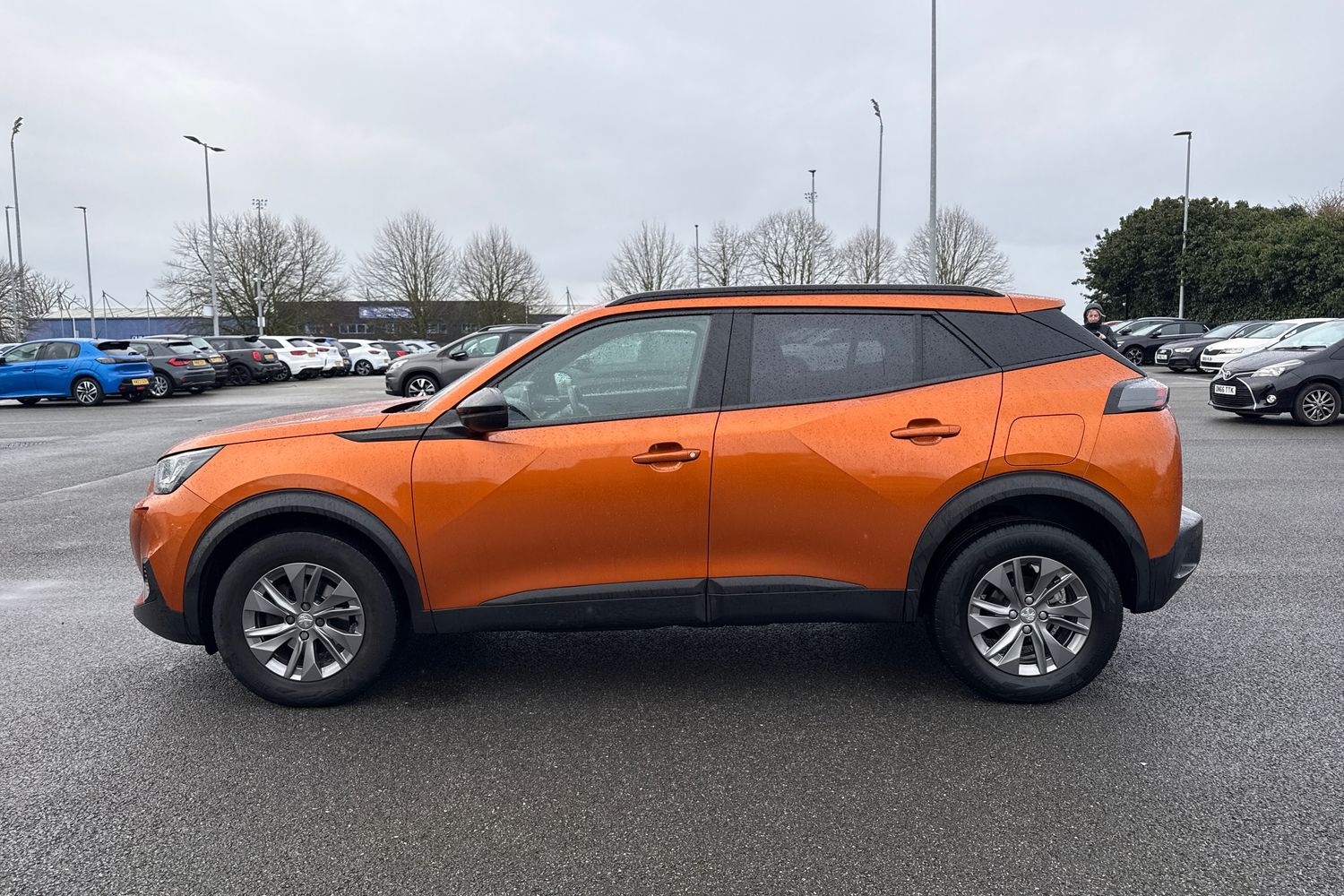 Used Peugeot 2008 2023 for sale - 77675105: Photo 31