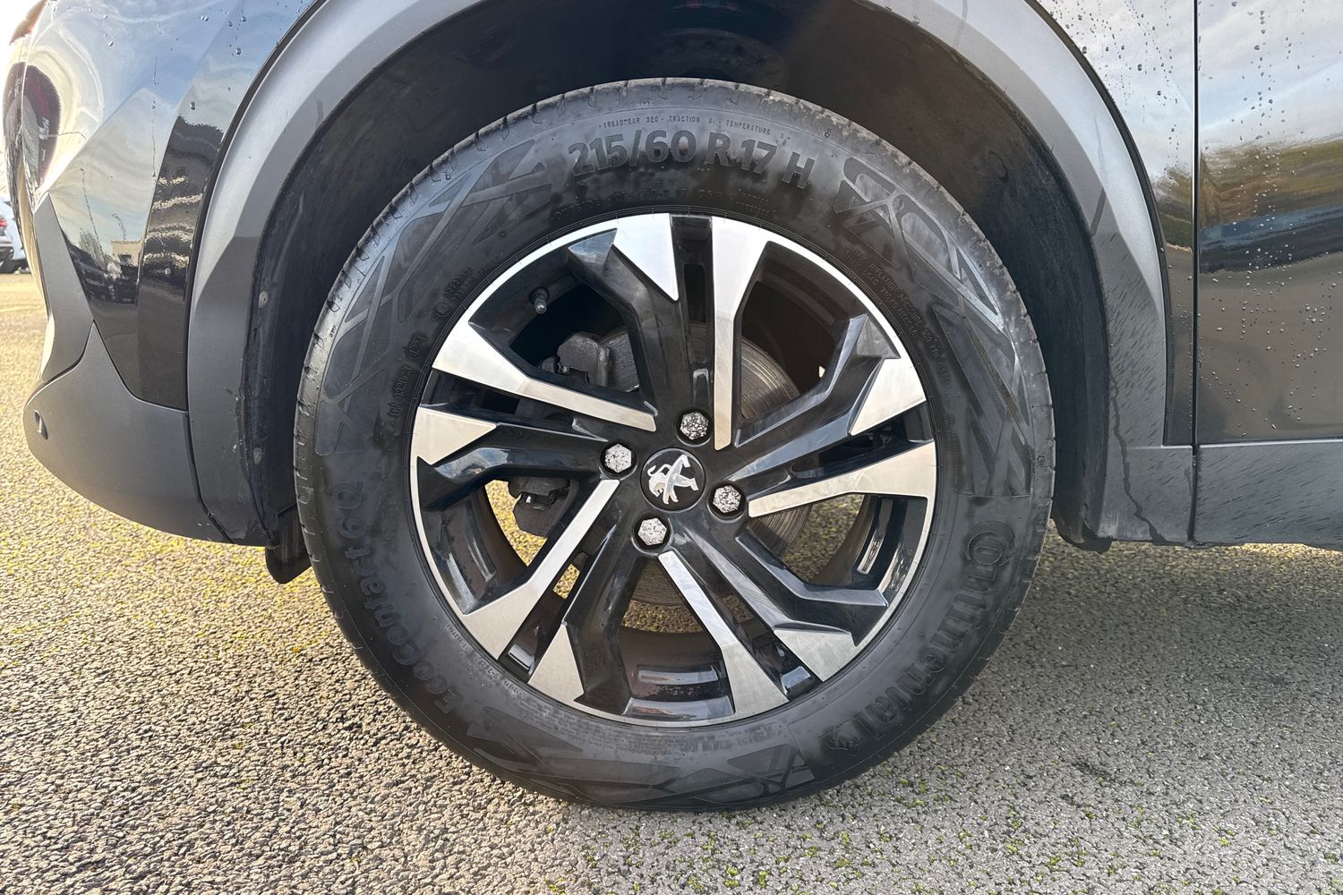 Used Peugeot 2008 2023 for sale - 76711808: Photo 12