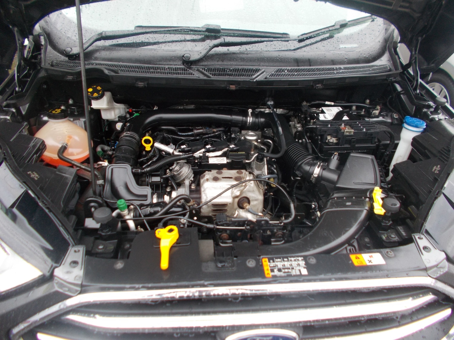 Used Ford Ecosport 2019 for sale - 77504549: Photo 12