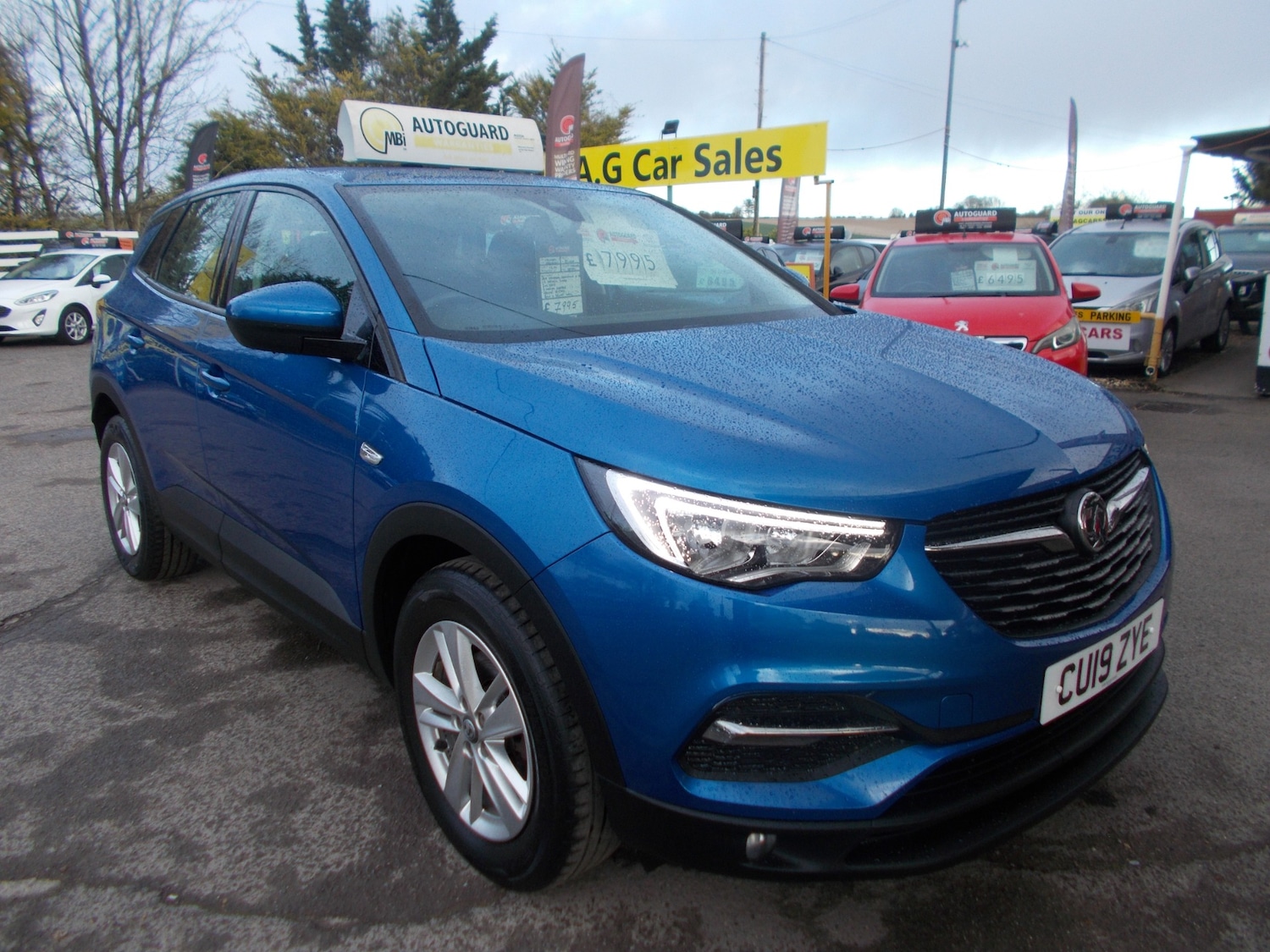 Used Vauxhall Grandland X 2019 for sale - 78025151: Photo 2