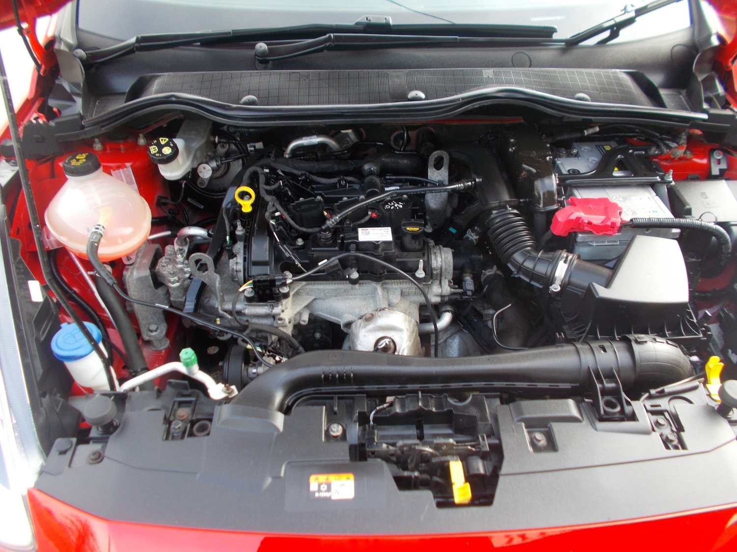 Used Ford Fiesta 2017 for sale - 77772026: Photo 14