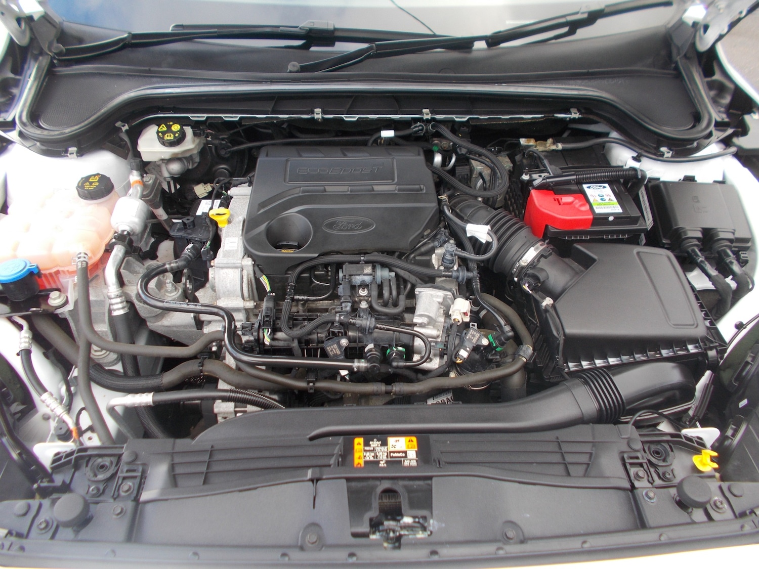 Used Ford Focus 2019 for sale - 77461443: Photo 13