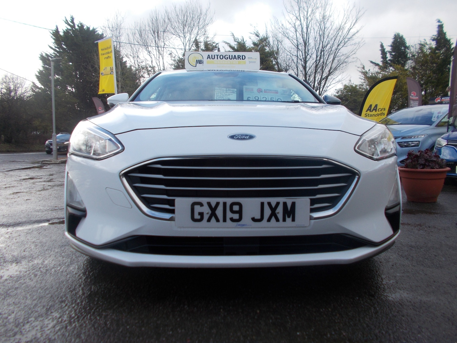 Used Ford Focus 2019 for sale - 77461443: Photo 5