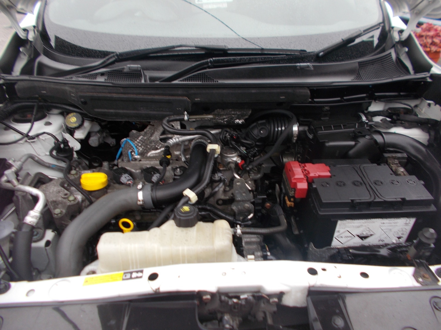 Used Nissan Juke 2018 for sale - 77159246: Photo 13