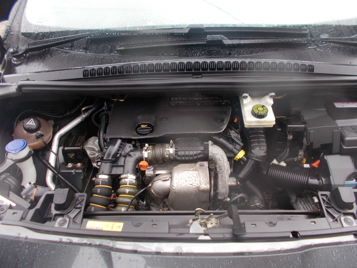 Used Peugeot 5008 2016 for sale - 77447190: Photo 16