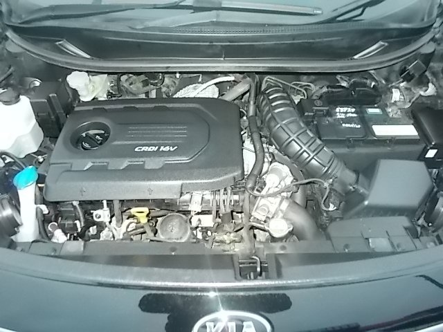 Used Kia Rio 2015 for sale - 76393906: Photo 13