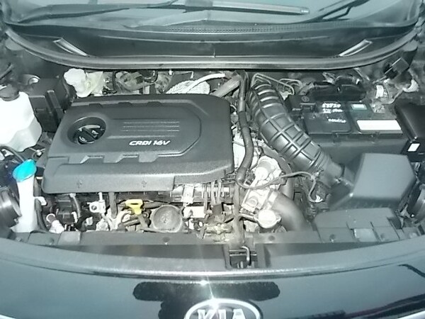 Used Kia Rio 2015 for sale - 69920198: Photo 13