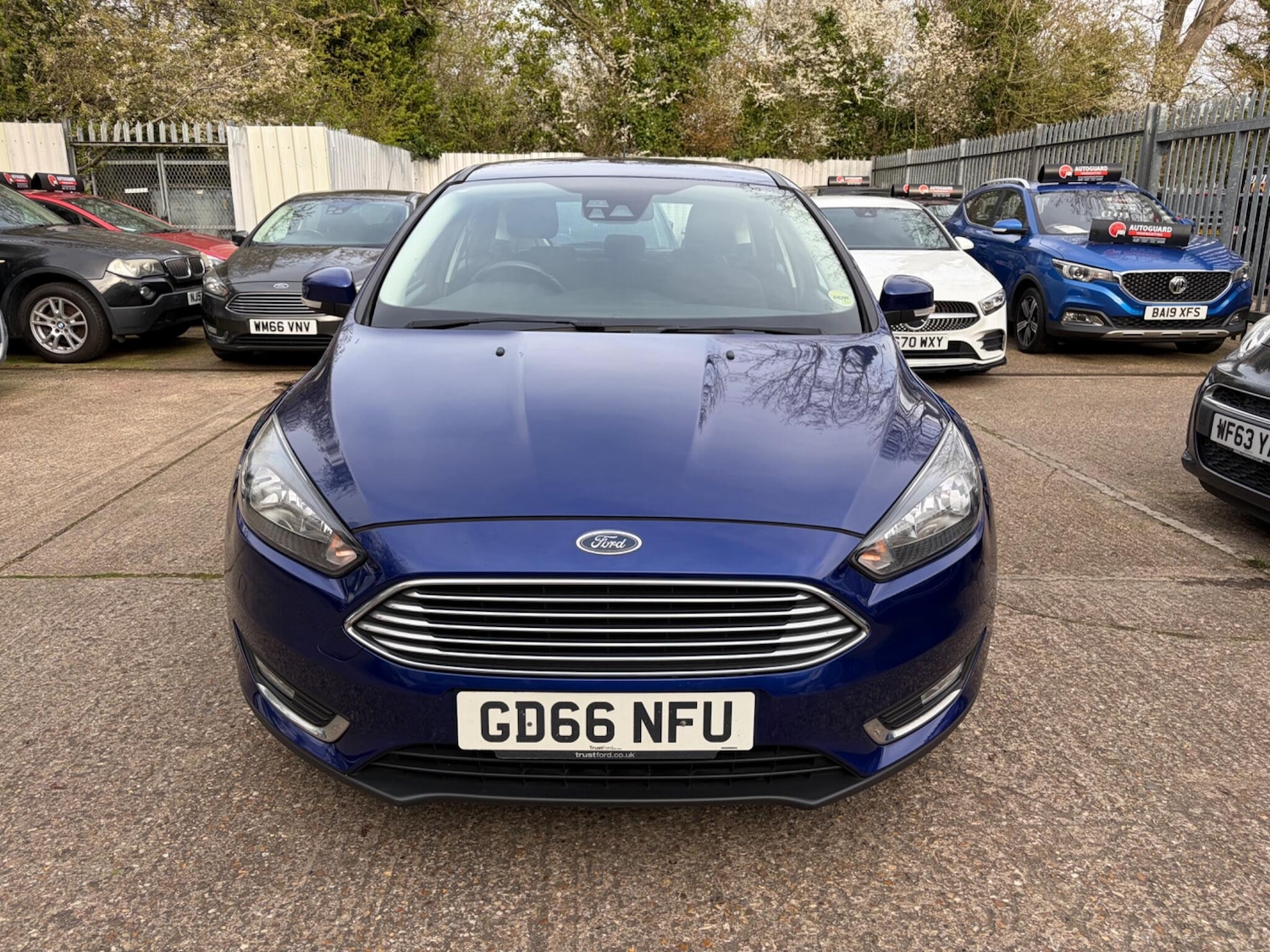 Used Ford Focus 2016 for sale - 77882867: Photo 2