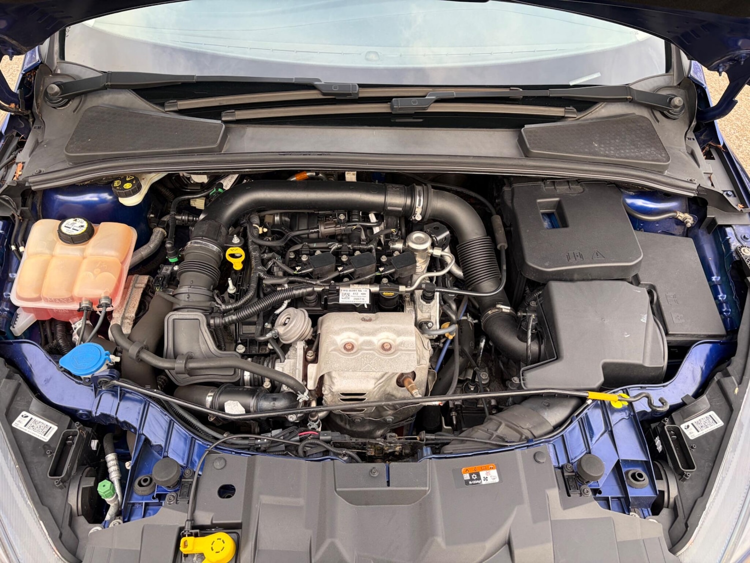 Used Ford Focus 2016 for sale - 77882867: Photo 62