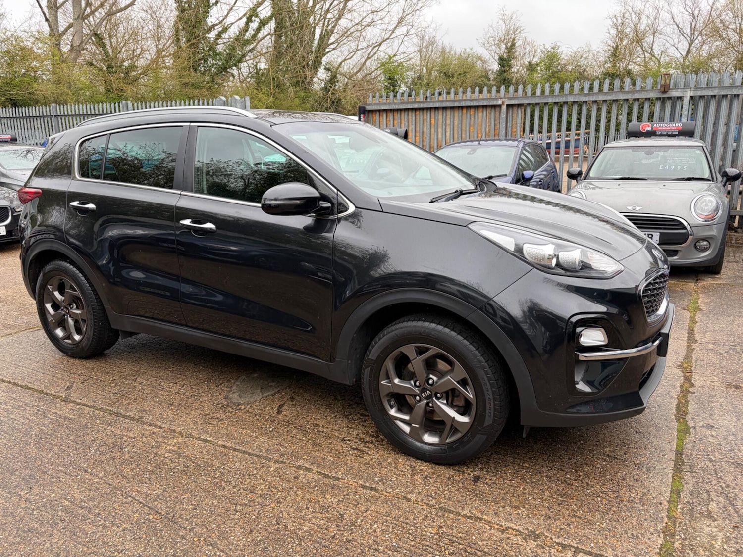 Used Kia Sportage for sale - 78115487: Photo 12
