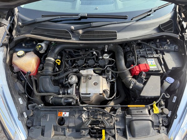 Used Ford Fiesta 2015 for sale - 76021232: Photo 63