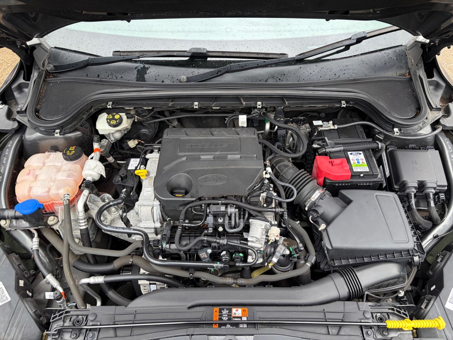 Used Ford Focus for sale - 77484375: Photo 58