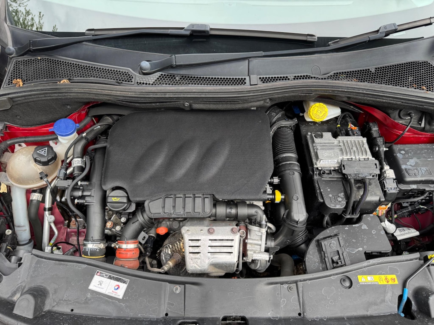 Vehicle 51