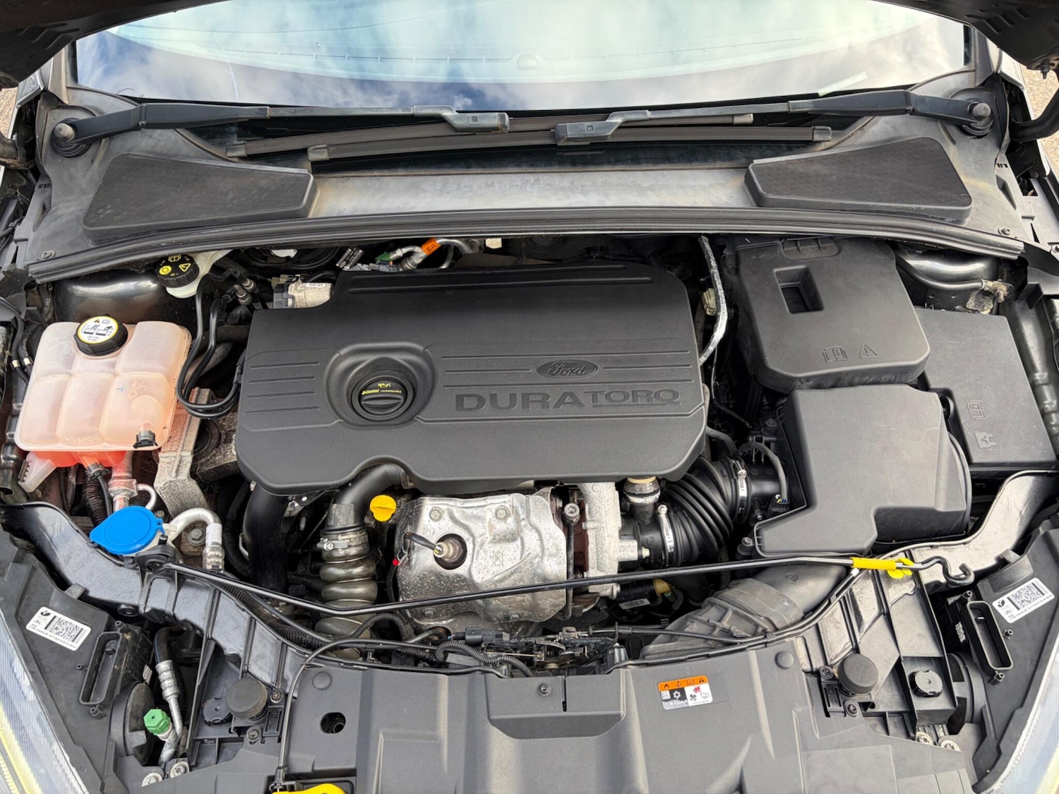 Used Ford Focus for sale - 77657952: Photo 61