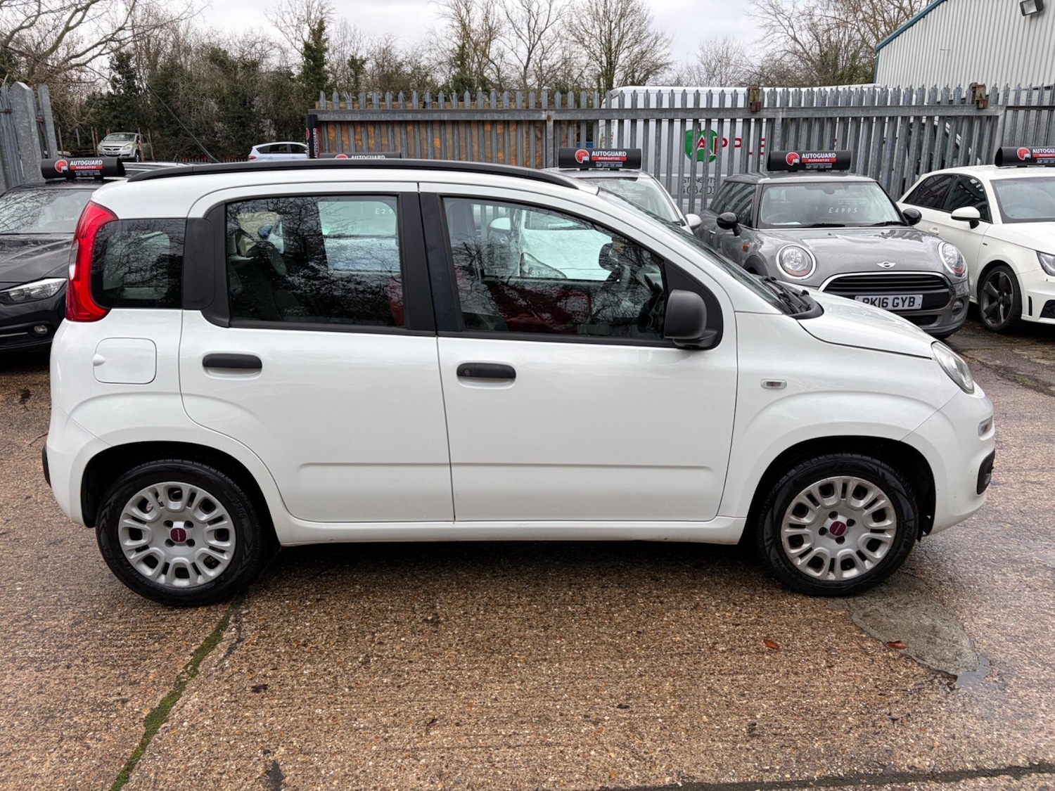 Used Fiat Panda 2013 for sale - 77156376: Photo 11