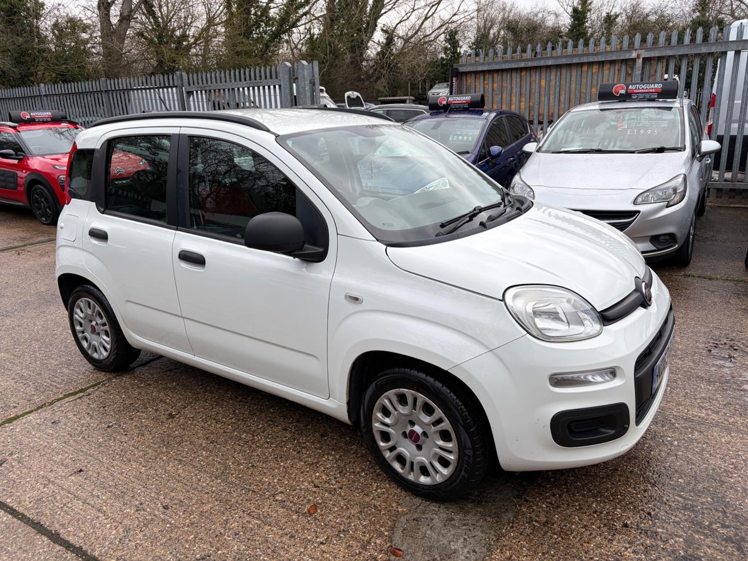 Used Fiat Panda 2013 for sale - 77156376: Photo 12
