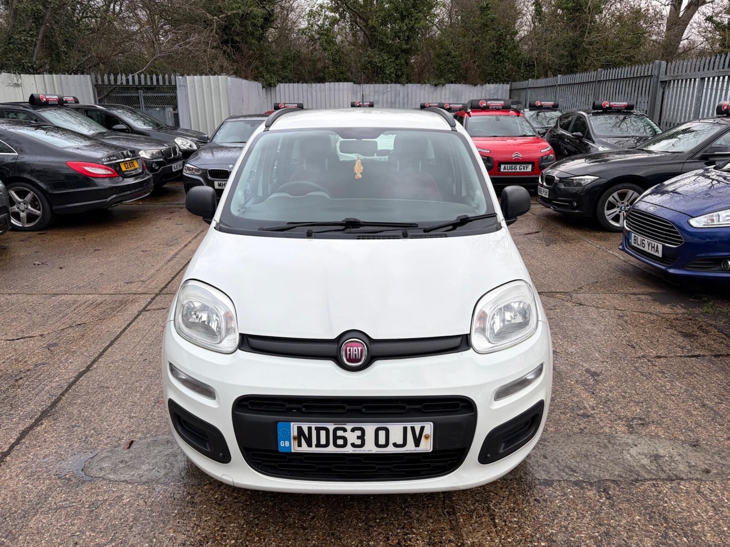 Used Fiat Panda 2013 for sale - 77156376: Photo 2