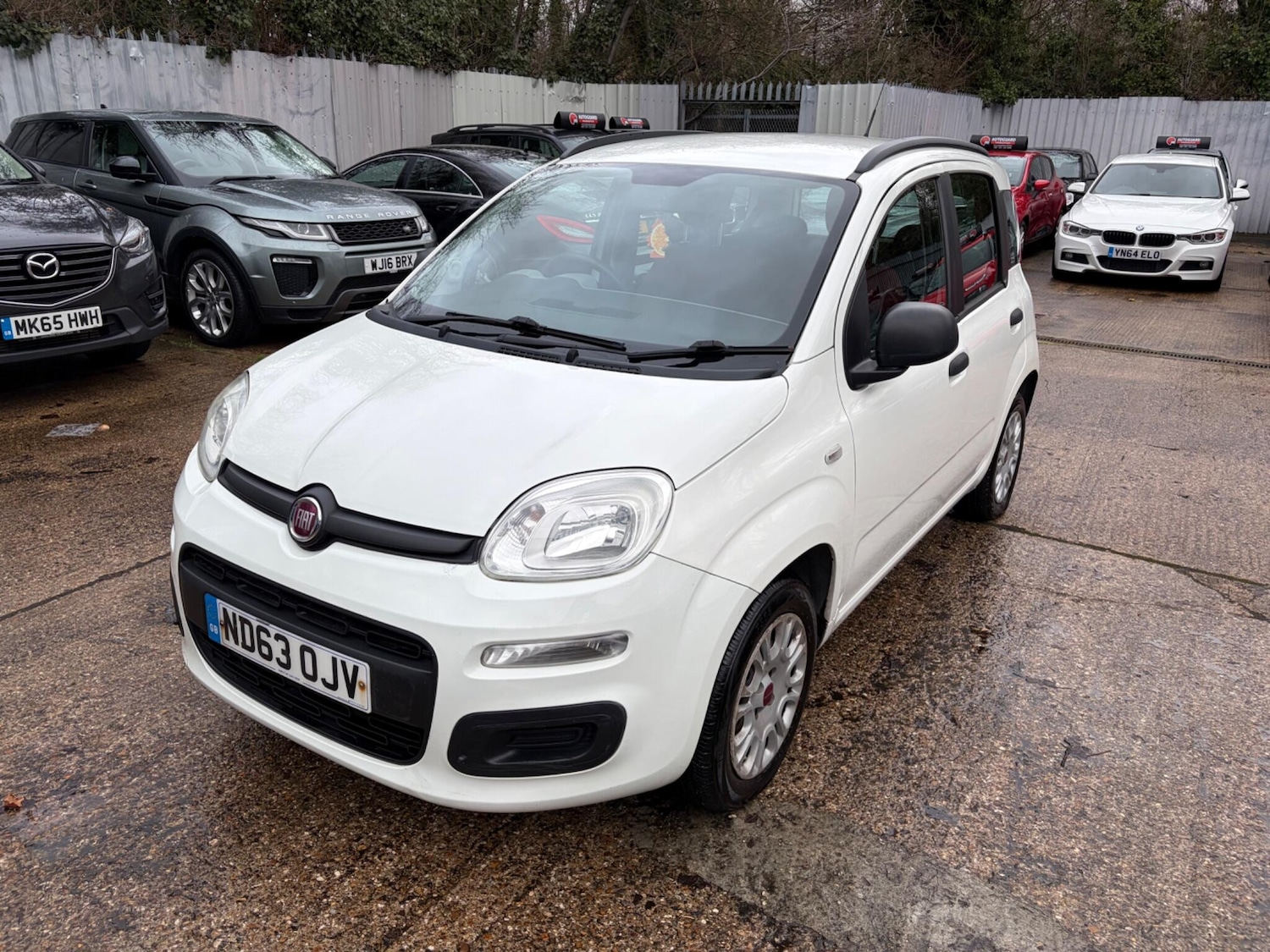 Used Fiat Panda 2013 for sale - 77156376: Photo 3