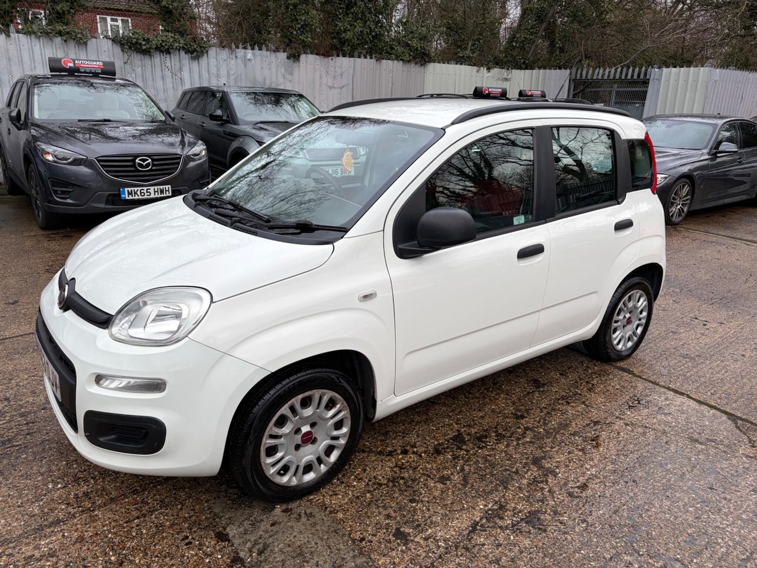 Used Fiat Panda 2013 for sale - 77156376: Photo 4