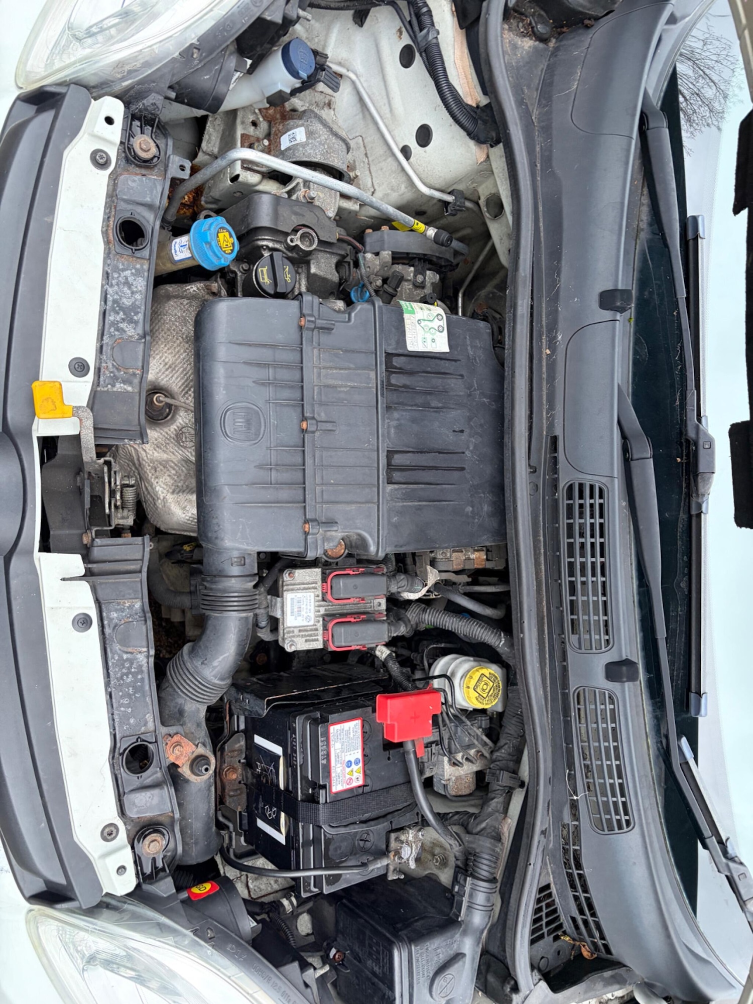 Used Fiat Panda 2013 for sale - 77156376: Photo 45