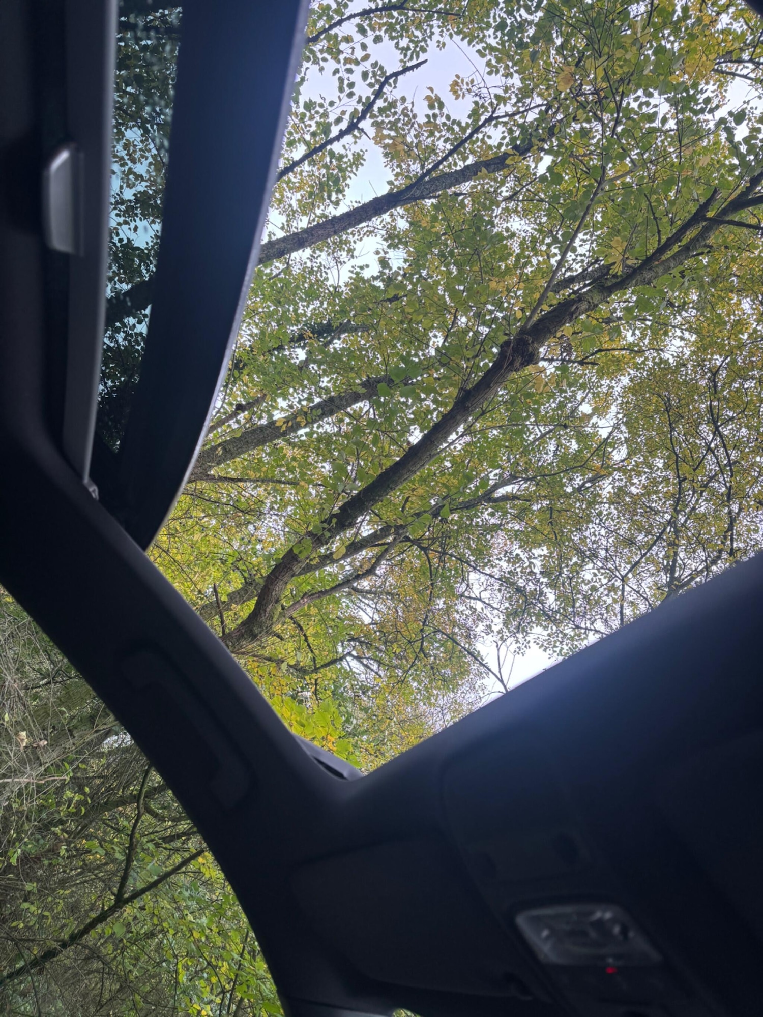 Used Audi A1 2012 for sale - 76398355: Photo 13