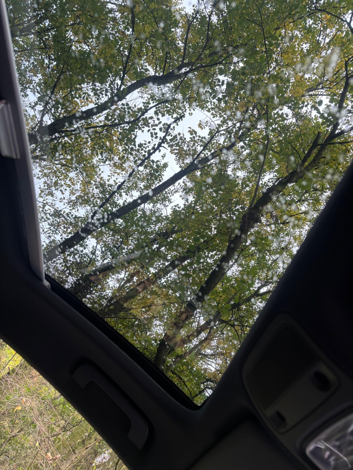 Used Audi A1 2012 for sale - 76398355: Photo 14