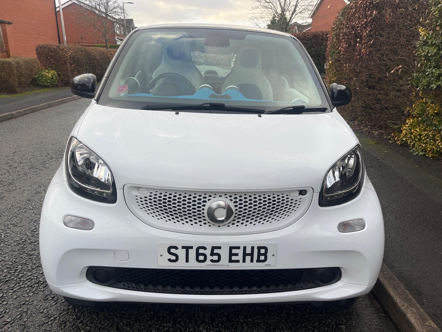 Used smart fortwo 2015 for sale - 77109326: Photo 2