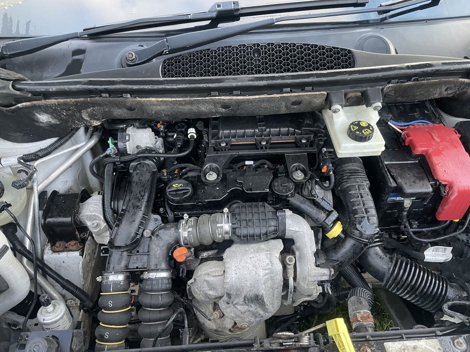 Used Citroen Berlingo 2018 for sale - 77080802: Photo 22