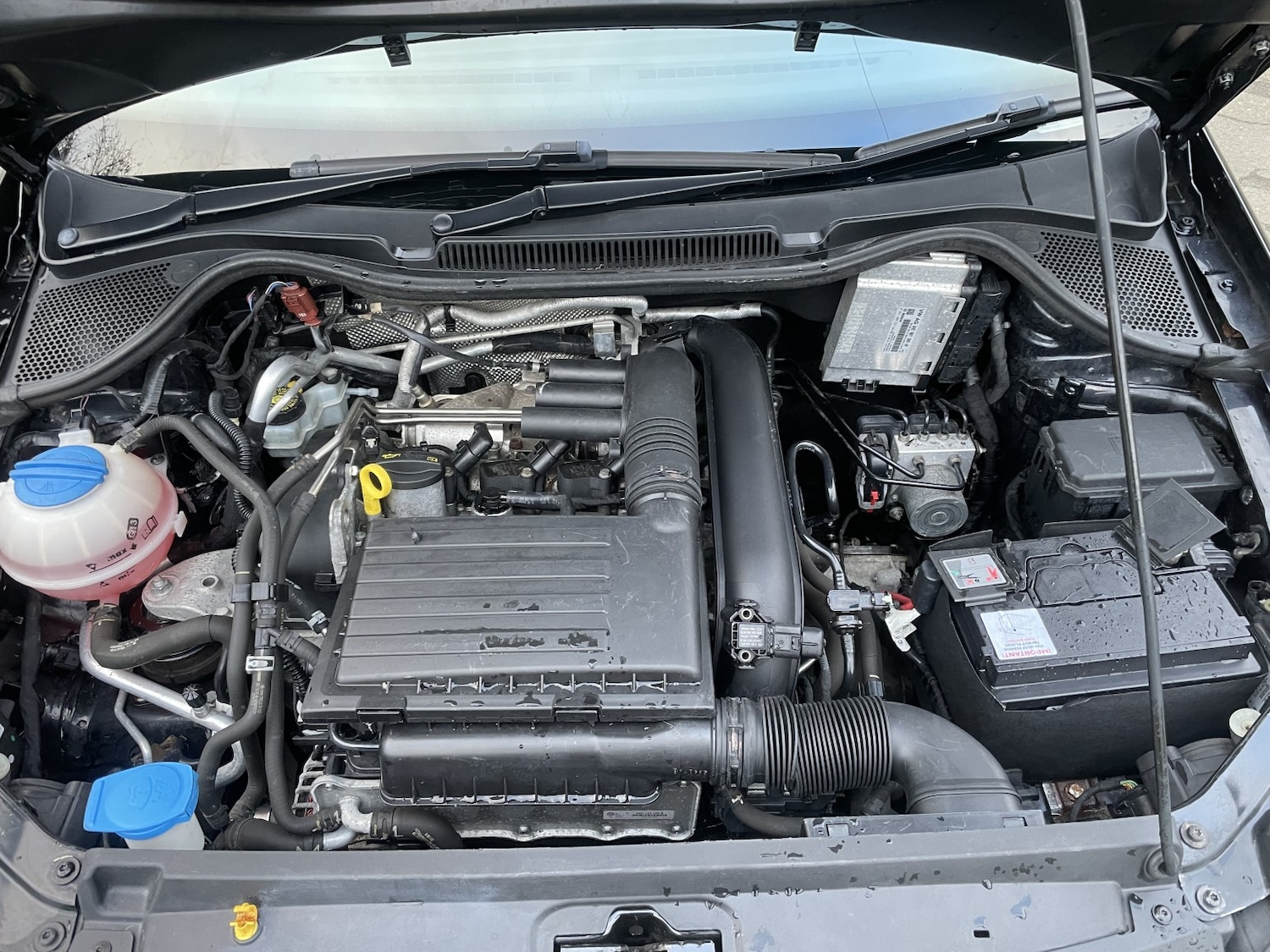 Used Volkswagen Polo 2014 for sale - 77053718: Photo 30