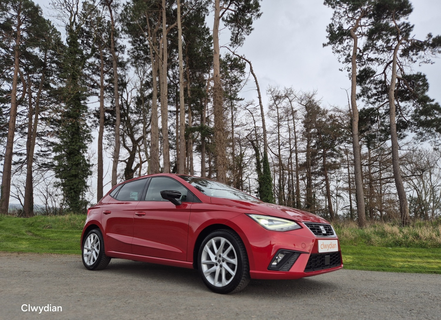 Used SEAT Ibiza 2023 for sale - 77787251: Photo 2