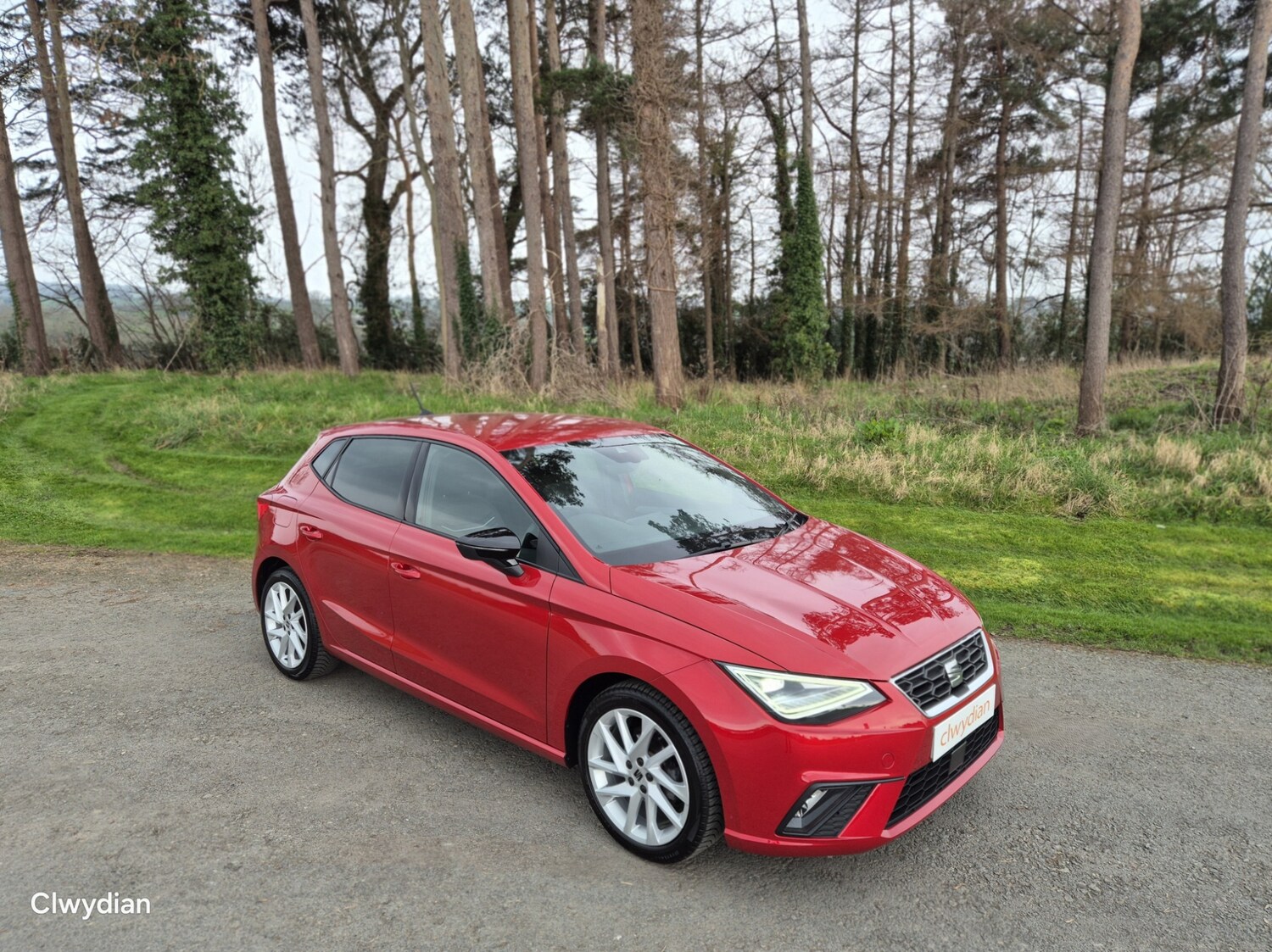 Used SEAT Ibiza 2023 for sale - 77787251: Photo 34