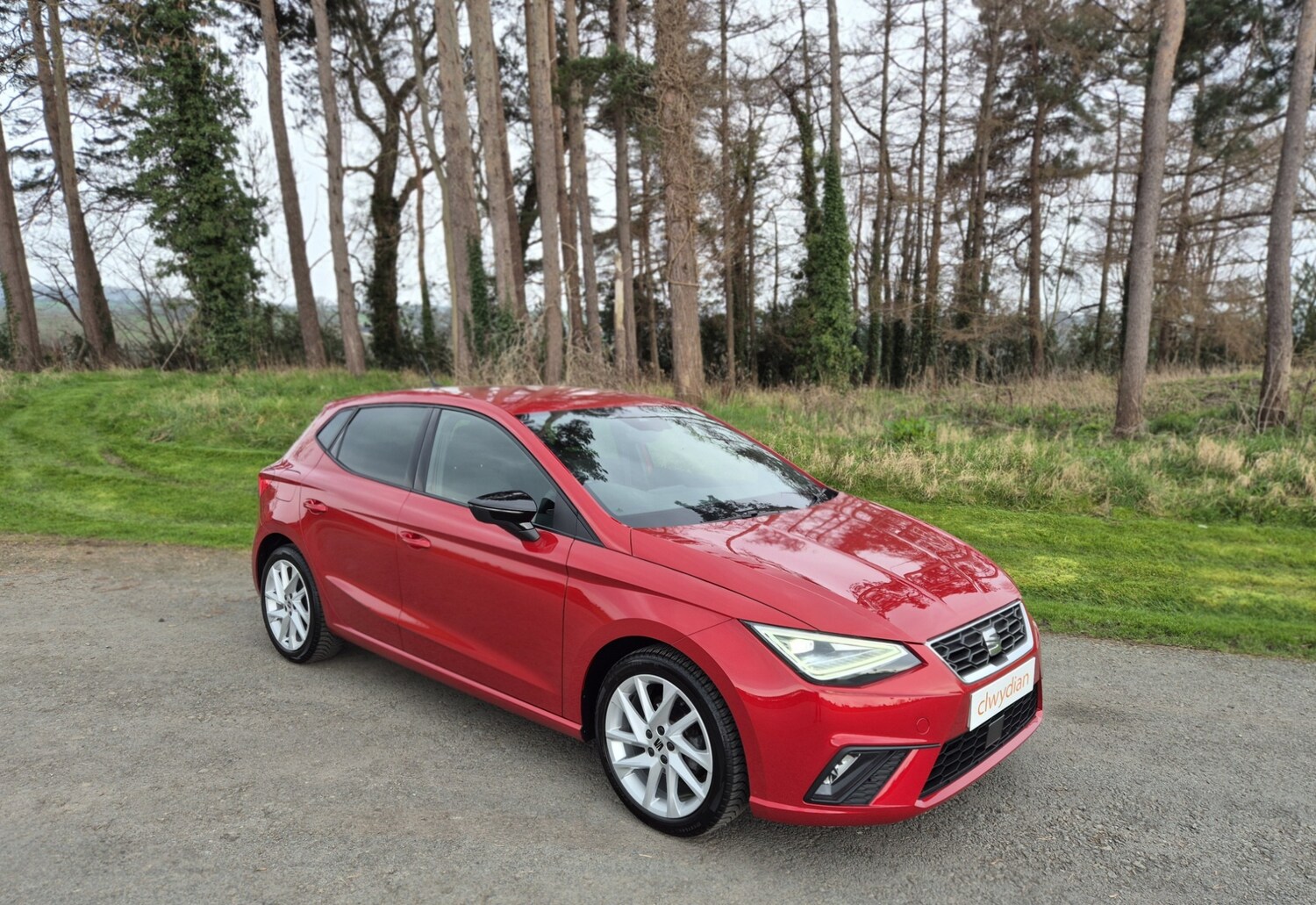 Used SEAT Ibiza 2023 for sale - 77787251: Photo 35