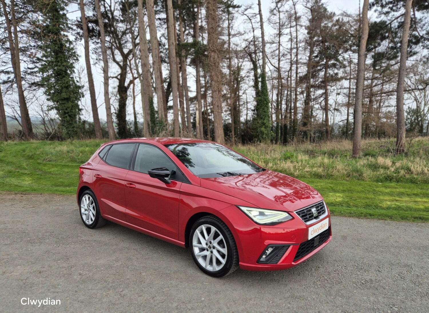 Used SEAT Ibiza 2023 for sale - 77787251: Photo 36