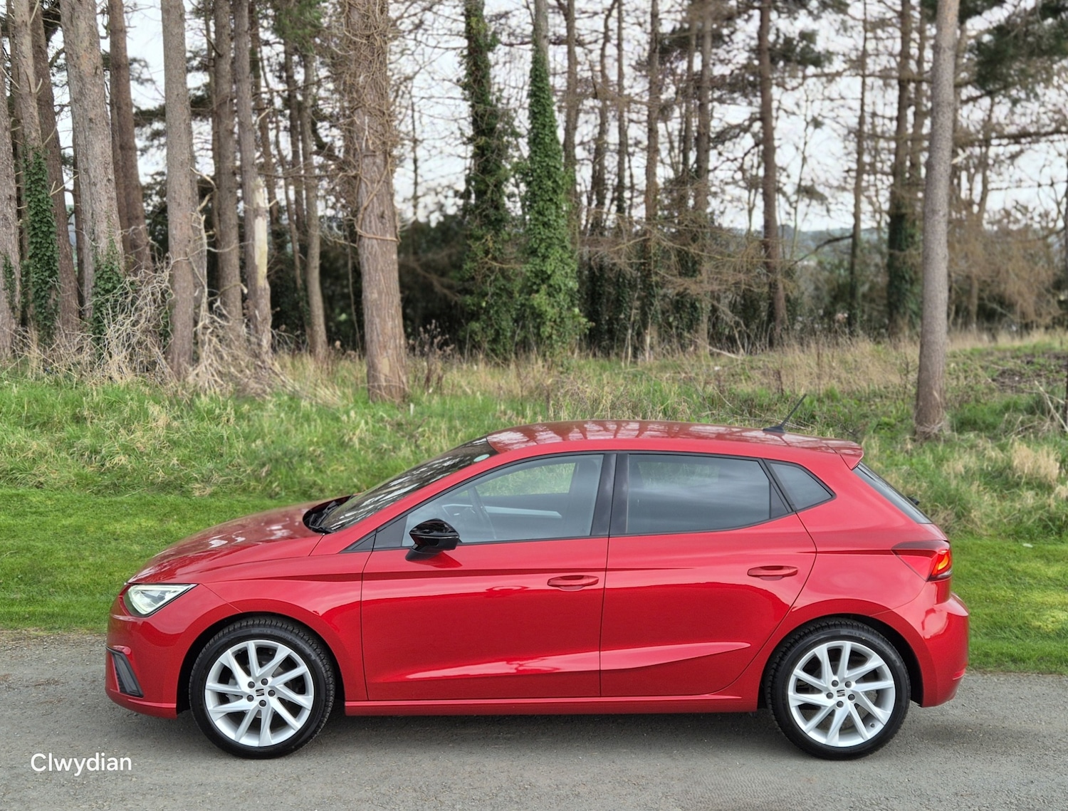 Used SEAT Ibiza 2023 for sale - 77787251: Photo 5