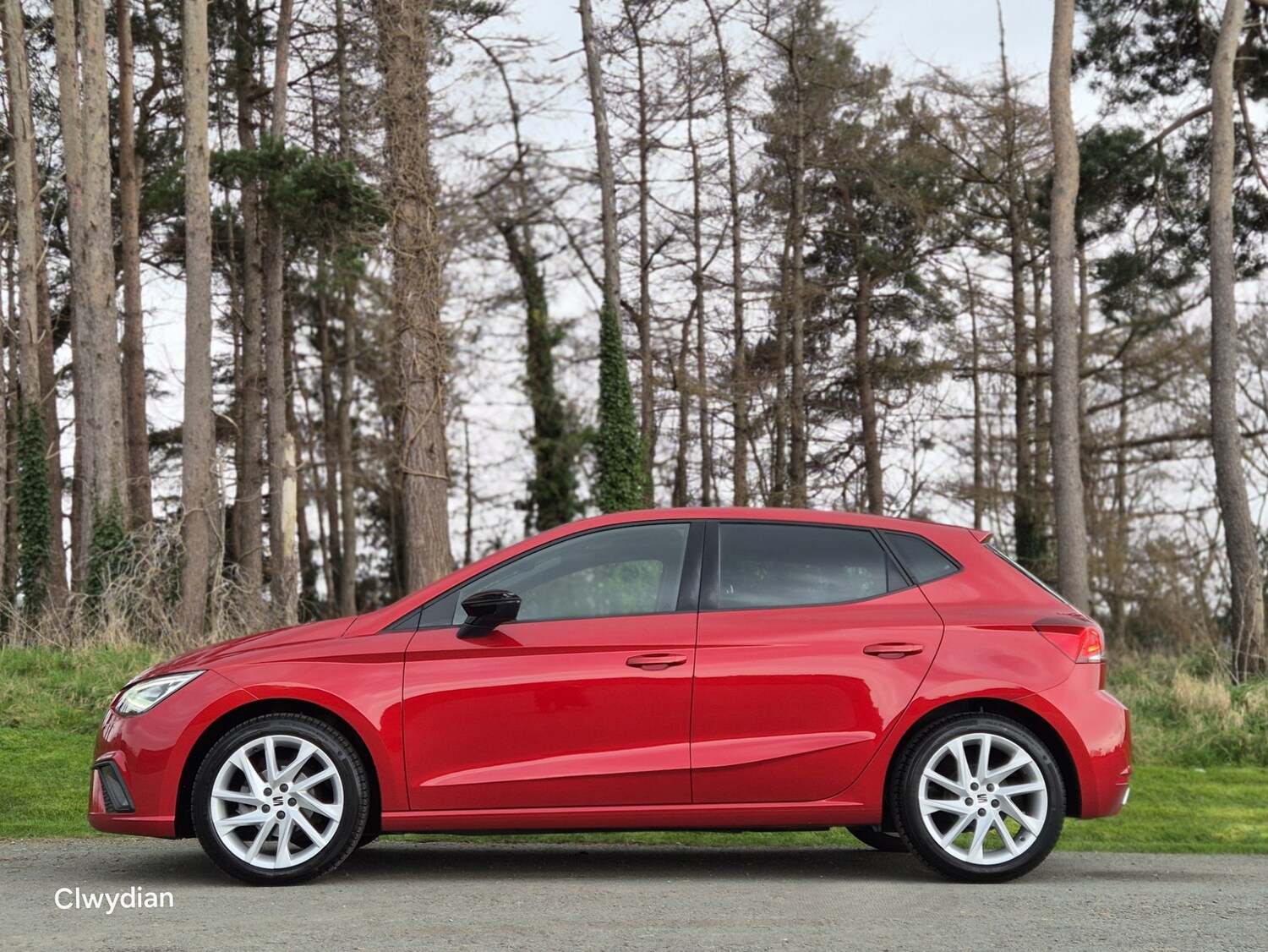 Used SEAT Ibiza 2023 for sale - 77787251: Photo 6