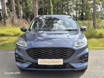Used Ford Kuga 2022 for sale - 75580726: Photo