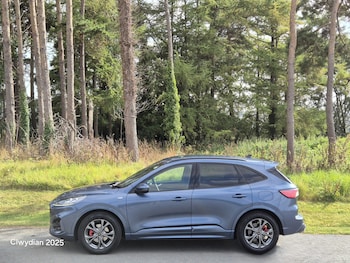 Used Ford Kuga 2022 for sale - 75580726: Photo