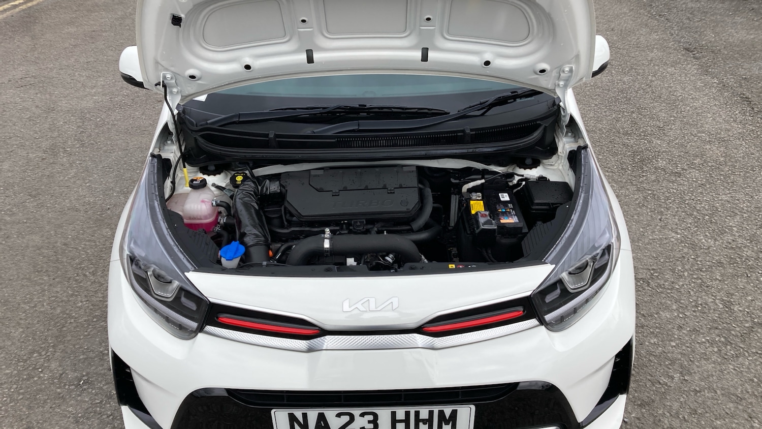 Used Kia Picanto 2023 for sale - 77641229: Photo 8