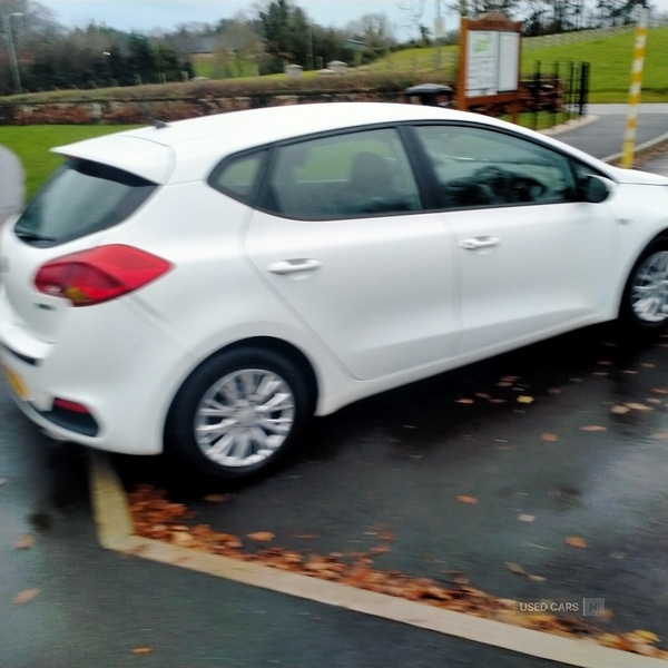 Used Kia Ceed 2016 for sale - 76715867: Photo 7