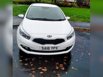 Used Kia Ceed 2016 for sale - 79304879: Photo