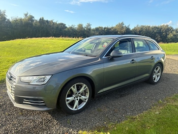 Used Audi A4 2017 for sale - 75950270: Photo