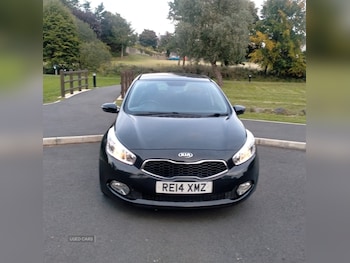 Used Kia Ceed 2014 for sale - 79304899: Photo