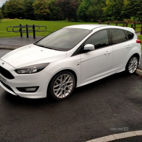Used Ford Focus 2017 for sale - 77030500: Photo 11